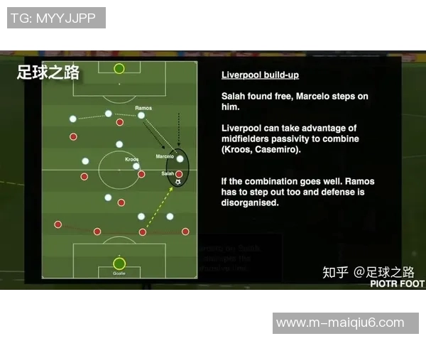 运动数据南京排球队盯防战术深度解析与实战应用探讨