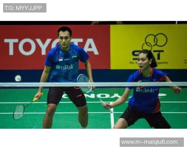 运动数据南京羽毛球队在欧锦赛中的灵活性表现与战术创新分析