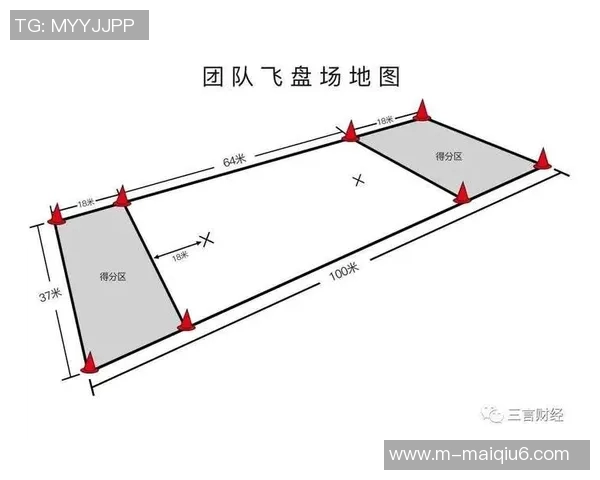 运动数据南京飞盘队与深圳飞盘队赛后分析力量对比与战术探讨