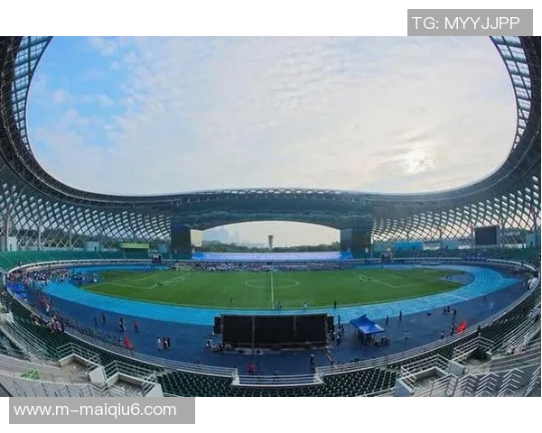 运动最新数据深圳排球队在亚运会上的拼搏历程与荣耀时刻全景回顾